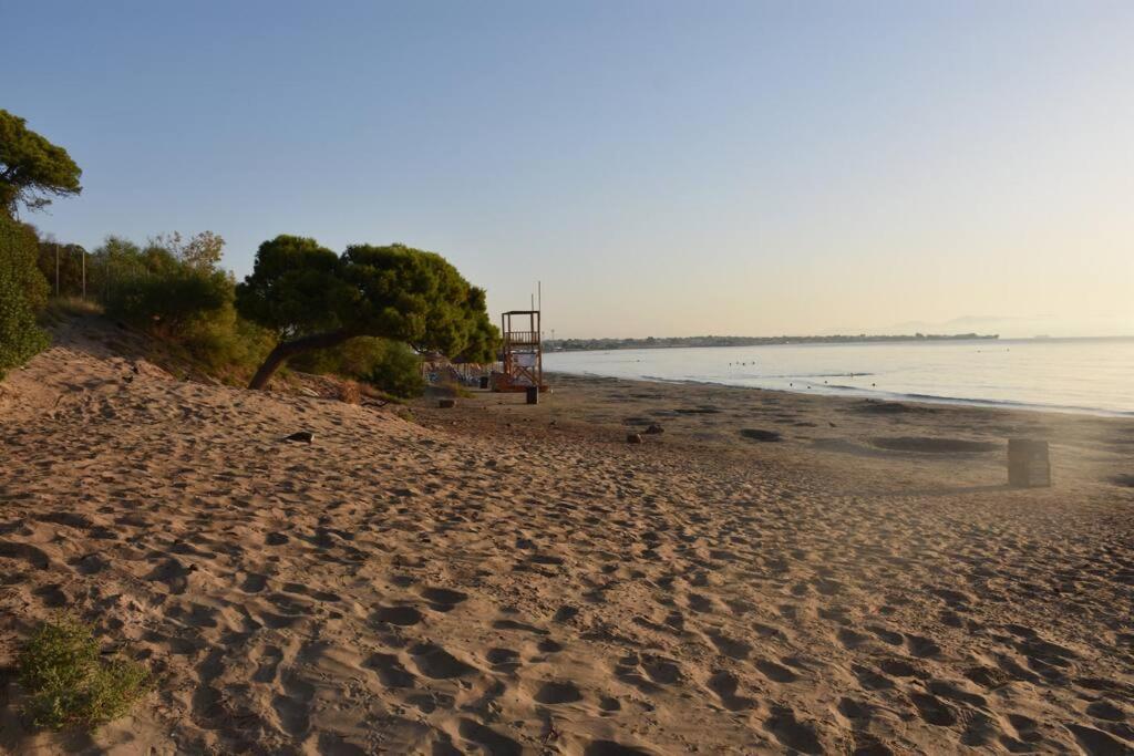 Seashell Apartment -Near The Beach Αρτέμιδα Εξωτερικό φωτογραφία