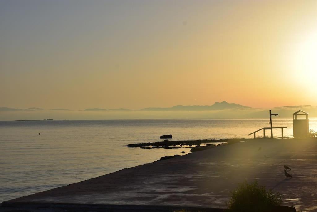 Seashell Apartment -Near The Beach Αρτέμιδα Εξωτερικό φωτογραφία